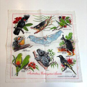 Australian Endangered Species Handkerchief Heil Koala Ghost Bat  Forest Dragon
